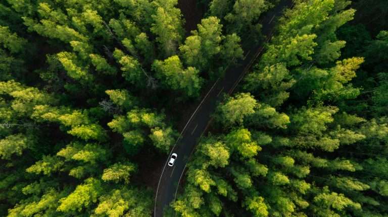 Spring 2026: The Automotive B2B Update
